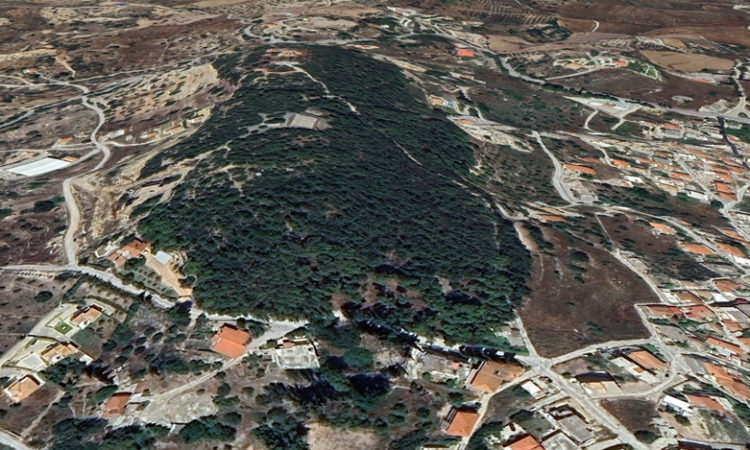Υποβολή χρηματοδοτικών προτάσεων για παραλίες και δάση από τον Δήμο Ερμιονίδας