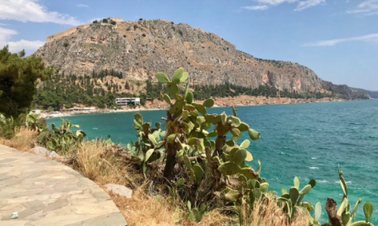Σωρός νεαρού εντοπίστηκε από περιπατητές στην διαδρομή από τις Μπανιέρες προς την Αρβανιτιά